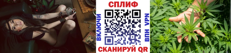 Купить закладку Олёкминск Alpha PVP  Меф мяу мяу  ГАШИШ  Бошки Шишки 