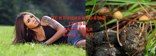 сатива Богородск